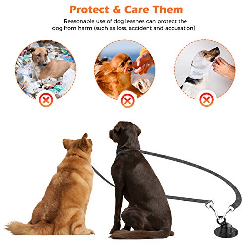 retractable dog runner