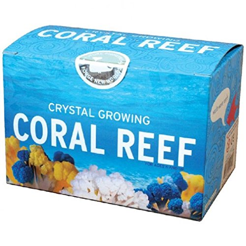 Crystal growing coral reef - science kit