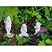 Top Collection Miniature Fairy Garden & Terrarium Bunny Reading on Stump Statue, Small,Ivory