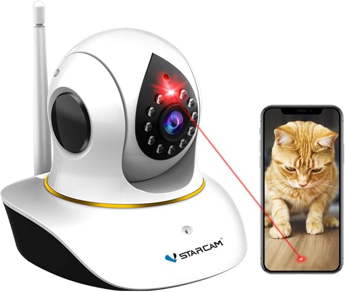 cat camera