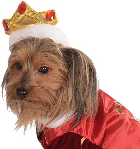 Metal Dining Table Legs Etsy Clothes For Dog - Vevor Set ...