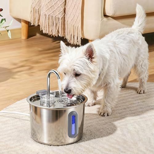 Mstail Fonte de Água pra Gato, Bebedouro para Gatos Silenciosa Inox Carvão Ativado LED Indicador Fonte De Água para Cães e Gatos (2,2L, TY10)