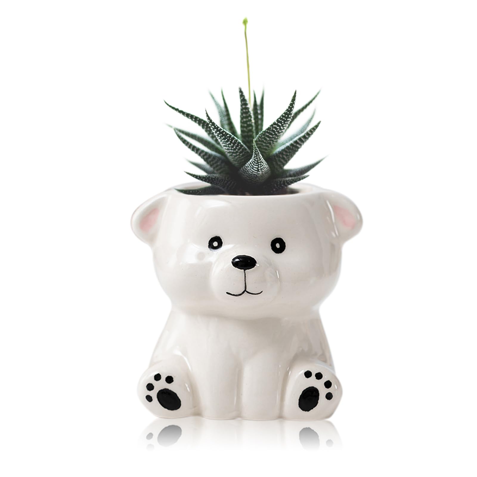 Photo 1 of DIYOMR Cute Animals Planter, Mini Ceramic Cartoon Animal Shaped Succulent Flower Pot Indoor Air Plants Holder, Smooth Shiny Decorative Flower Cactus Planter - Plants Not Included (White Bear)