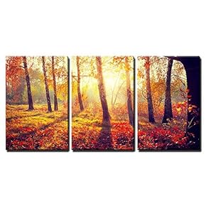 3 Piece Canvas Wall Art - Autumn. Fall. Autumnal Trees in Sun Rays - Modern Home Art Stretched and Framed Ready to Hang - 16"x24"x3 Panels