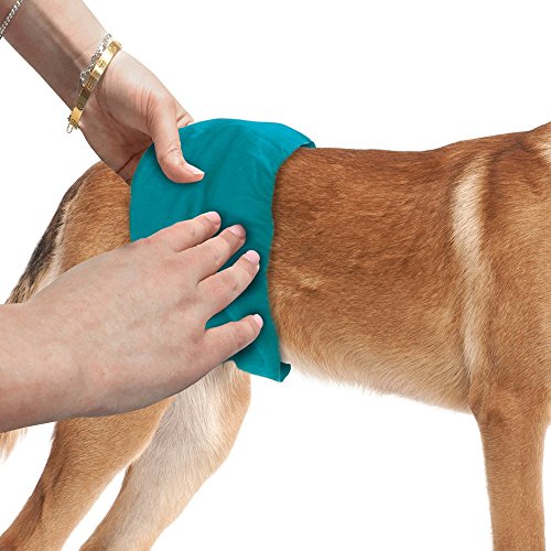 Simple Solution Washable Male Dog Diapers | Absorbent Male Wraps with Leak Proof Fit | Excitable Urination, Incontinence, or Male Marking | 1 Reusable Dog Diaperper Pack - Thumbnail 3