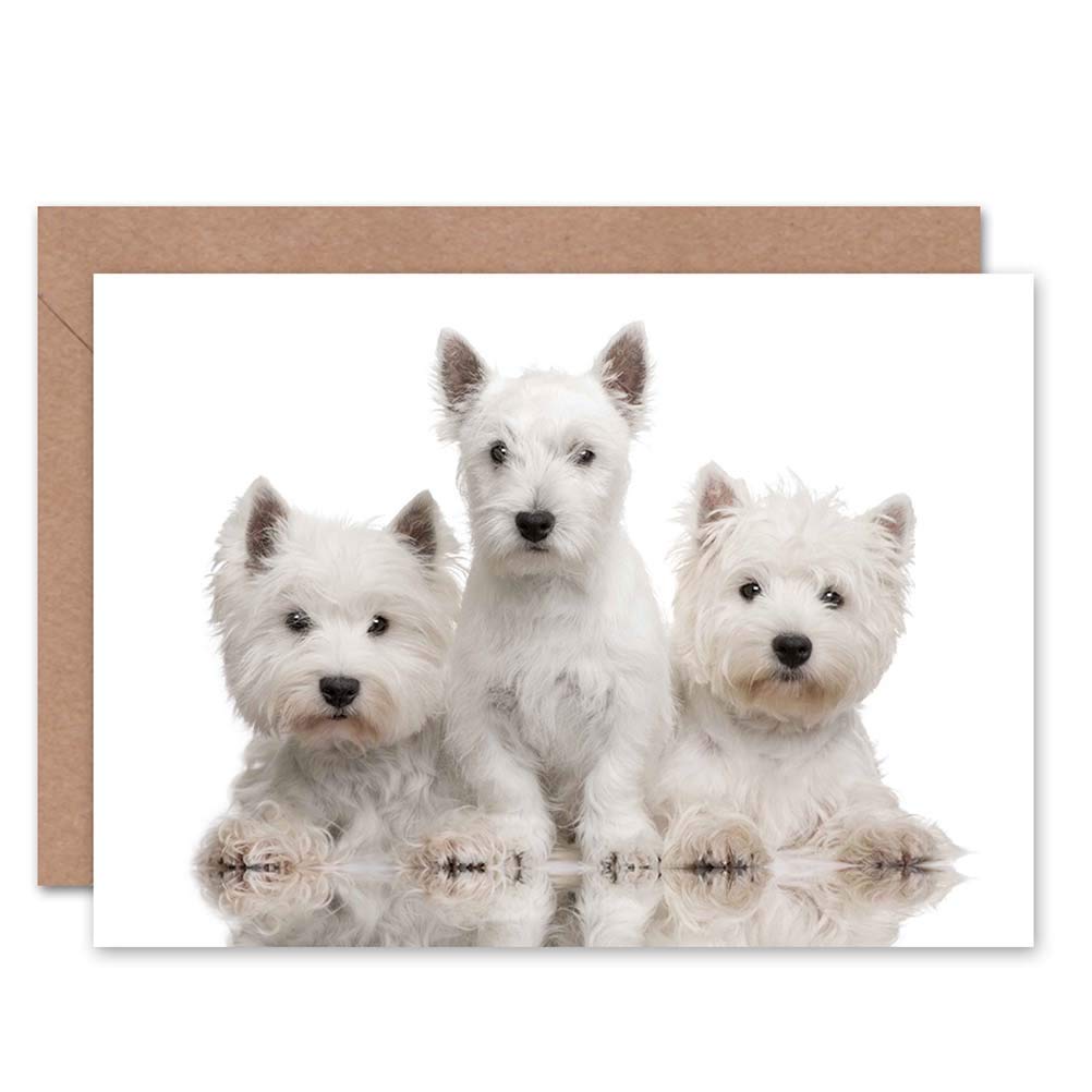Wee Blue Coo Greeting Cute West Highland Westie Puppy Dogs Gift Sealed Greeting Card Plus Envelope Blank inside