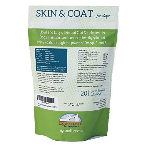 Top 10 Best Dog Supplements For Itchy Skin Top Reviews No Place