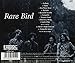 Rare Bird