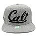 LAFSQ Embroidered CALI with CALIFORNIA MAP Snapback Cap (GREY/BLACK),One Size