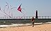 Prism Micron Dual-line Stunt Kite, Purple