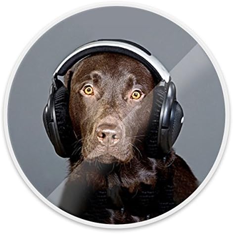 Expanding Grip ,Cogg Universal Cell Phone Stands,Multi-function Mounts and Stands,Iphone and Tabets[Music Dog]