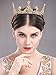 Unicra Gold Vintage Tiaras and Crowns Wedding Bridal Headbands Queen Crowns for Women and Girls