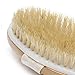 Long Handle Bath Body Brush with Detachable Head and Natural Bristles