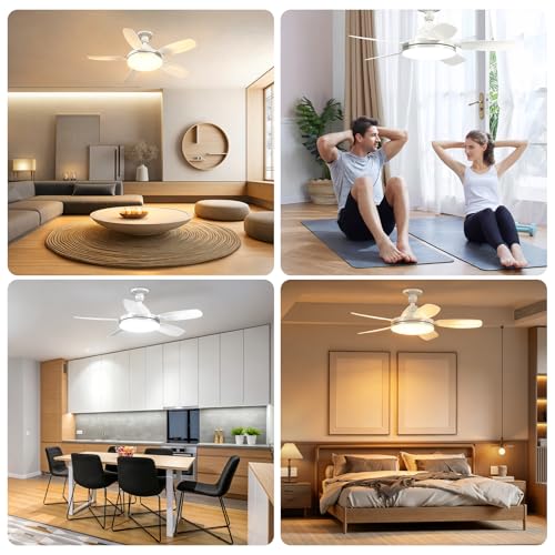 GOODEA Ventilateur de Plafond avec Lumière et Telecommande 81cm, E27 & 5 Pales à Encliquetage, 3 Couleurs & 2500LM Très Lustre Ventilateur Plafond Silencieux Minuterie Mémoire pour Salon Chambre