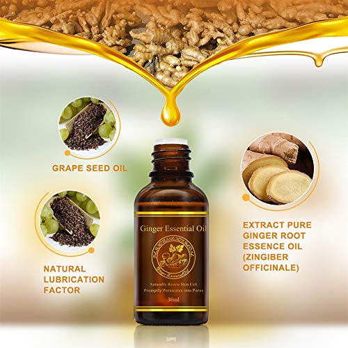 30ml Ginger Oil Essential Pure Natural Plant Therapy Lymphatic Beauty Drainage Ginger Body Massage Spa Oil for Aromatherapy, Skin, Bath, Foot Therapy, Family, Stamina Bathing Relaxation (C) - Thumbnail 4