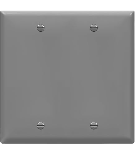 Placa De Pared 2 Interruptores +1 Decora/gfci Leviton 80421- | Meses