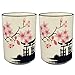 Happy Sales HSCM-TCBWP2, Perfect 2 pc White and Pink Blossom Japanese Teacups Mugs set