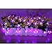 LE 23ft 17m LED Solar Fairy Lights, Waterproof, 50 LEDs, Violet, Portable, with Light Sensor, Outdoor Blossom String Lights, Ideal for Christmas, Wedding, Party