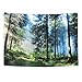 BLEUM CADE Misty Forest Tapestry Wall Hanging Sunshine Through Trees Tapestry Magical Nature Landscape Tapestry for Bedroom Living Room Dorm
