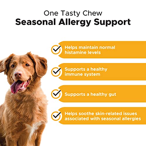 Pet Honesty Dog Allergy Relief Immunity Chews Omega3 Salmon Fish Oil