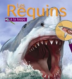 Les  requins