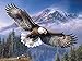 Sun Cling 5D Diamond Painting Kits Full Drill Diamond Embroidery, 12x16 Inches