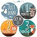 Baby Milestone Stickers by Baby Nest Designs - Set of 16 Baby Monthly Stickers. Cute Woodland Animals Each Month Stickers for Baby Boy and Baby Girl - Newborn Photography Props, Fun Baby Shower Gifts