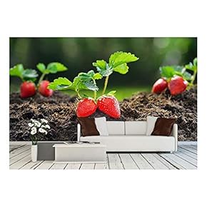 Close-Up of The Ripe Strawberry in The Garden - Removable Wall Mural | Self-Adhesive Large Wallpaper - 66x96 inches