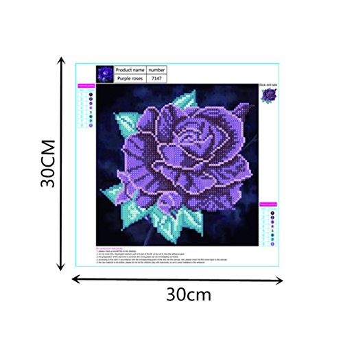 Botrong 5D Embroidery Paintings Rhinestone Pasted DIY Diamond painting Embroidery Arts Craft Adults' Children's Paint-By-Number Kits Cross Stitch (❤️ D:12X12inch / 30X30CM)