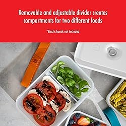 ZWILLING Fresh & Save Plastic Lunch Box, Airtight
