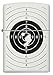 Zippo Target with Holes White Matte Pocket Lighter