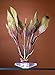 Aquarium Décor Plastic Plants (Flowering Lace, 12 inch)thumb 1