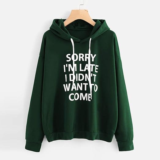 hoodies under 300