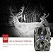 Victure Trail Camera with Night Vision Motion Activated Waterproof 12MP 1080P Game Camera with 120°View for Wildlife and Home Surveillance