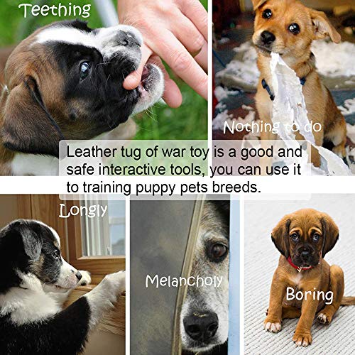 Leather Puppy Bite Rag Dog Tug Toy with Handle Tug of War Dog Toy Interactive Toys Toys for