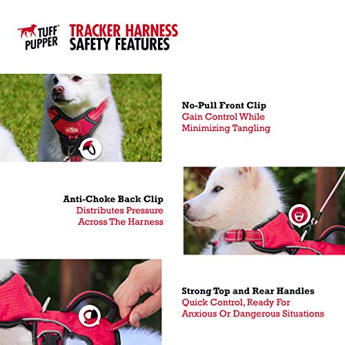 5 point dog harness