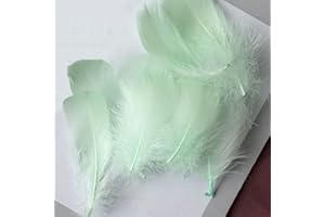 FEATUMAN 100Pcs Fairy Green Natural Goose Feathers, 3-5Inch Centerpieces Feahers Bulk, Colorful Craft Feathers for Wedding Party Centerpieces Vase Home Halloween Decoration