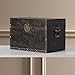 Vintiquewise(TM) Decorative Leather Wooden Trunk/Box