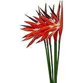 Rikyo Artificial Flowers 6Pcs Bird of Paradise 23" Permanent Flower,Strelitzia Tropical Imitation Plant Flower Bouquets for Office Home Party Decorations,Arrangement Potted Plants (Orange)