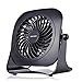Desk Personal Fan USB Table Portable Fan(2 Speed, 4 Inch,Quietness)(Black)