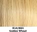 HAIRDO Wrap Around Pony Golden Wheat R14/88H