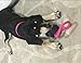 BINGPET Tough Chew Durable Dog Rope Toy Pet Cute Activity Toys Tug Ball for Small or Large Breed Chewers