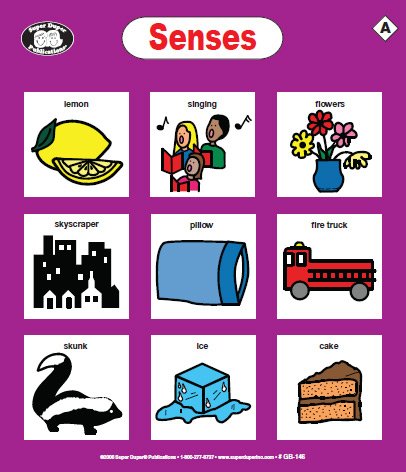 Super Duper Publications | Functional Communication Vocabulary Language Game | AAC with Boardmaker Picture Communication Symbols | Educational Learning for Children