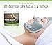 La Lune Naturals Bentonite Clay, Indian Healing Clay 16 Oz w/eBook