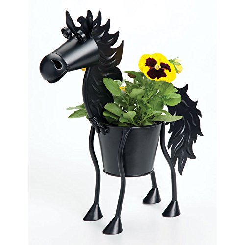 Cannonball the Stallion Mini Planter