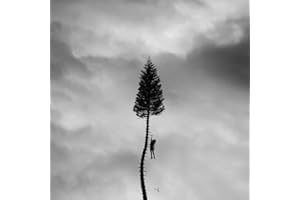Black Mile To The Surface (2Lp)