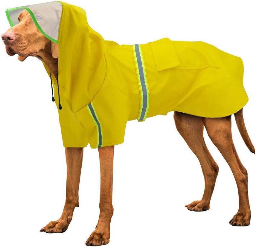 yellow dog raincoat with hood