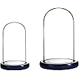2pcs Glass Cloche Dome H:7.9" x W:4.8" and H:5.9" x W:3.6" Glass Bell Jar with Black Wooden Base Tabletop Glass Dome Display Case With Base For Plants Food Candles Home Decoration