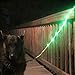 BLAZIN Light Up Dog Leash LED - 1,000 Feet of Visibility - USB Rechargeable Waterproof Glow in The Dark Dog Leash - 6 Foot, Pink