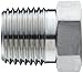 Parker Stainless Steel 316 Pipe Fitting, Reducing Bushing, 1/8